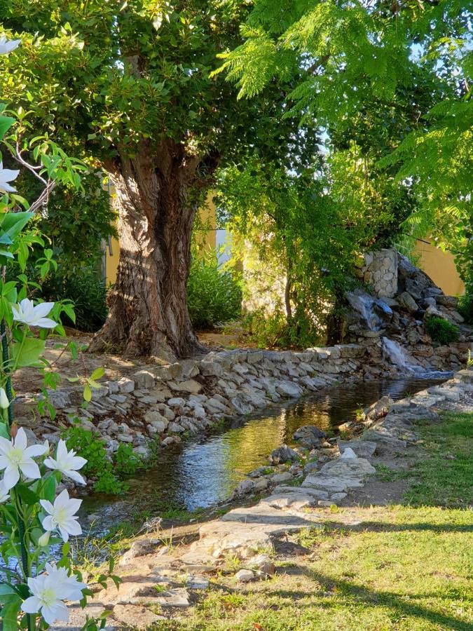 Quinta Lagus Resort - Casa De Campo パルメラ エクステリア 写真